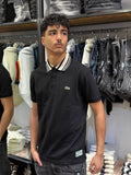 Polo Lacoste Colletto a Righe