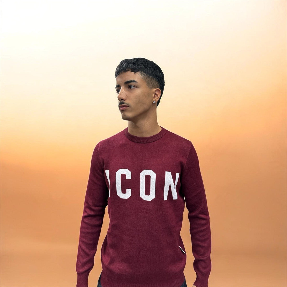 Maglione icon