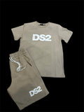 Completo DS2